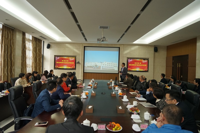 互访交流 共促生长 湖北省医药行业协会向导一行走进佰福国际-佰福国际药业